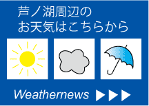 weather